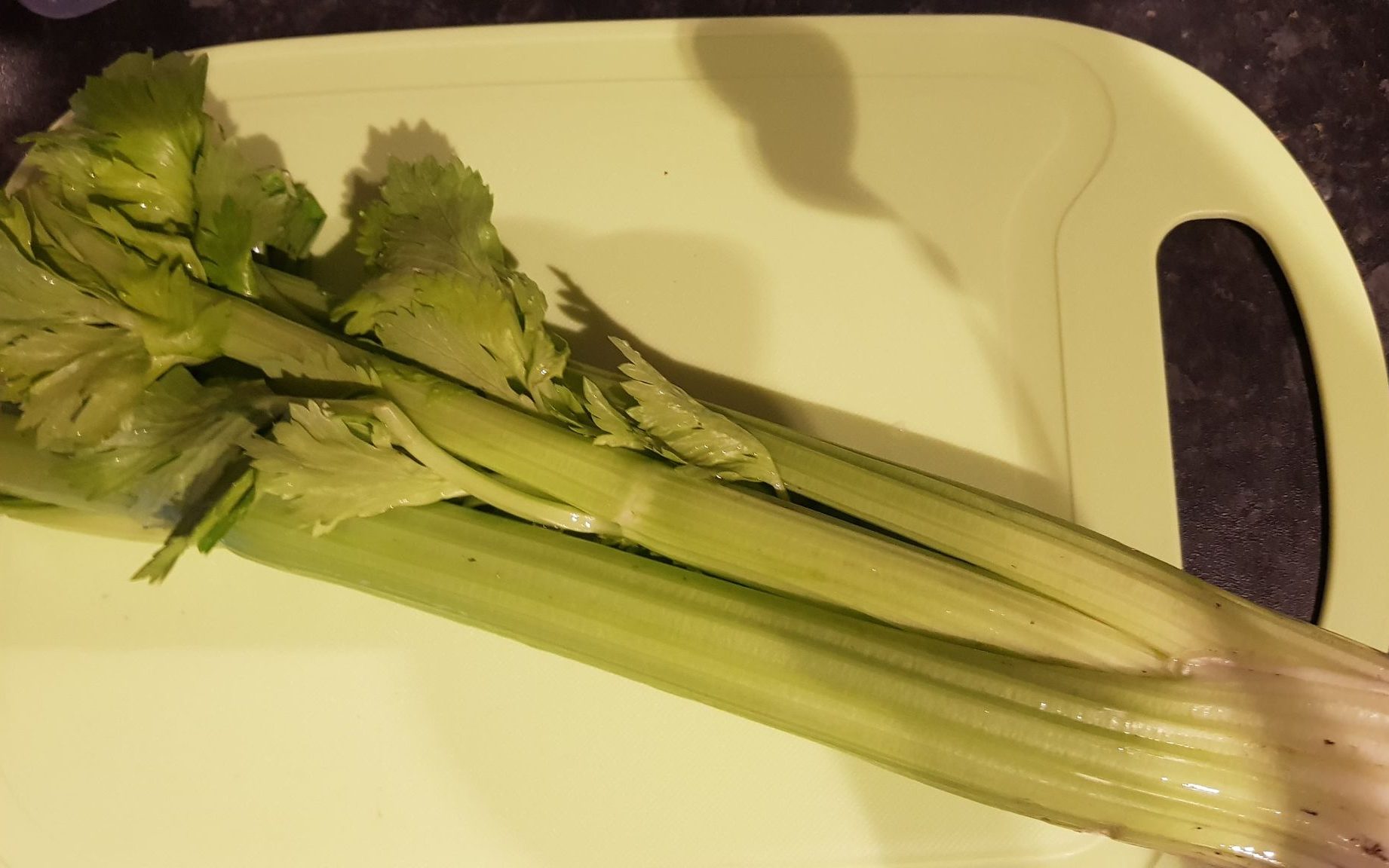 Can Rabbits Eat Celery Leaves?