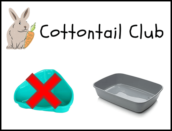 What litterbox should a rabbit use?