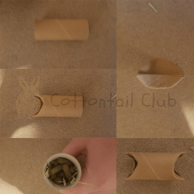How to make a rabbit toilet tube