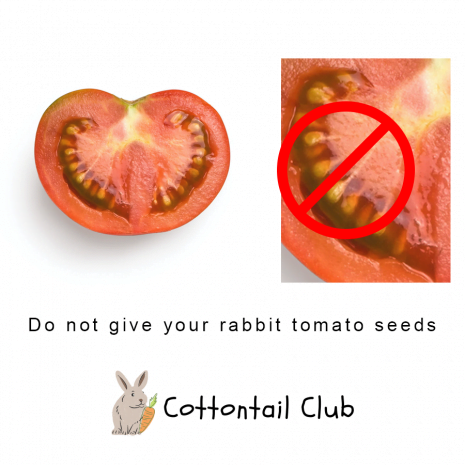 Can rabbits eat Tomato seeds?